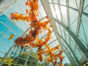 Chihuly glass ceiling seattle orange glass sculpture from underneath